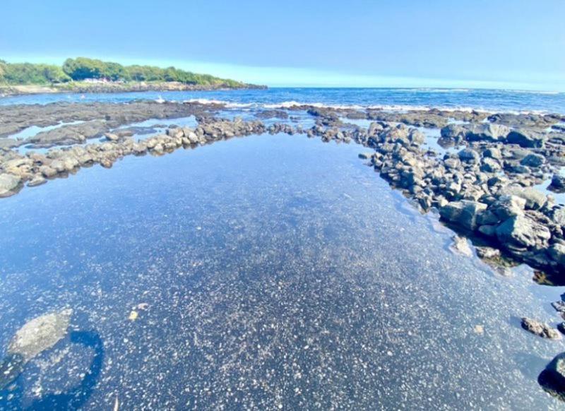 Charming 1 Bedroom Beach Condo Prime Location Great Value Pahala Exterior foto