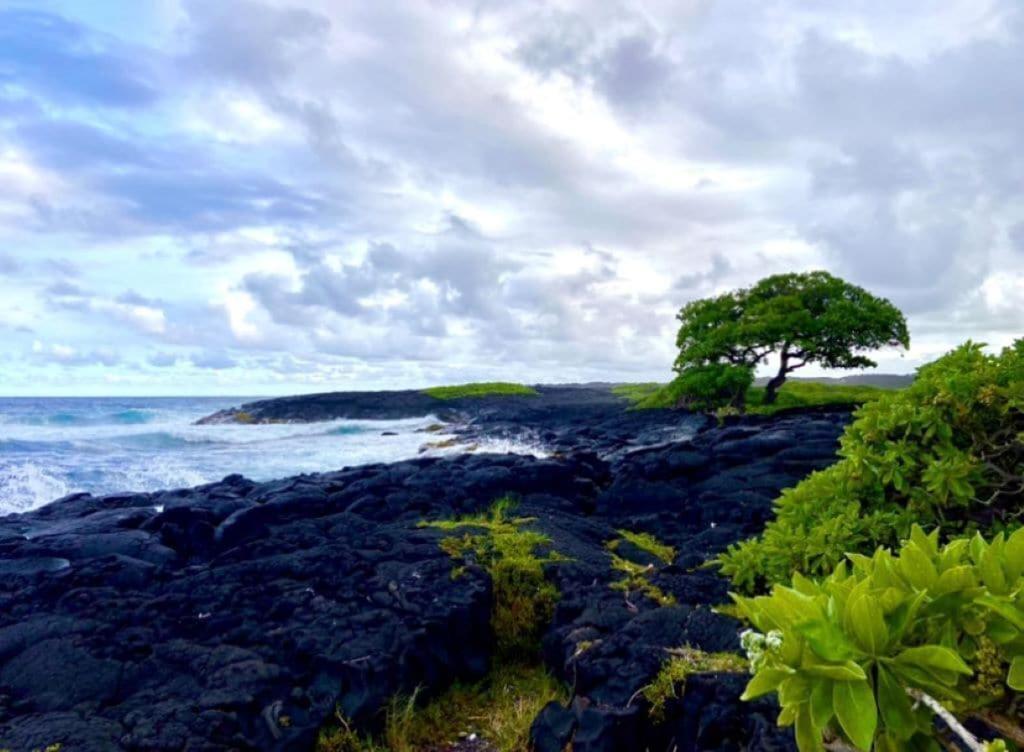 Charming 1 Bedroom Beach Condo Prime Location Great Value Pahala Exterior foto