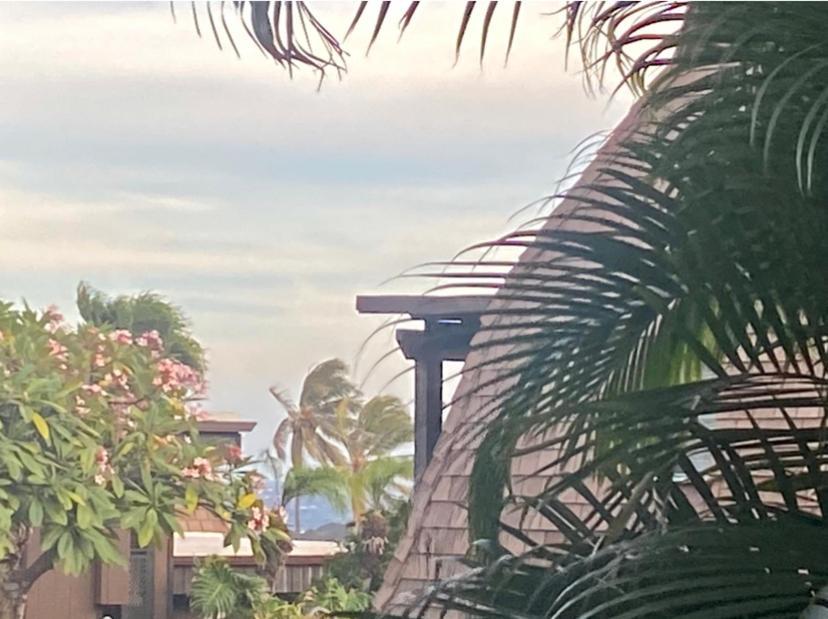 Charming 1 Bedroom Beach Condo Prime Location Great Value Pahala Exterior foto