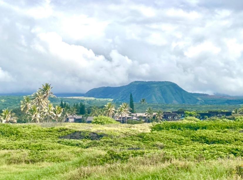 Charming 1 Bedroom Beach Condo Prime Location Great Value Pahala Exterior foto